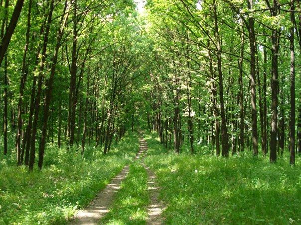 Люботин з panoramio.com - Люботин