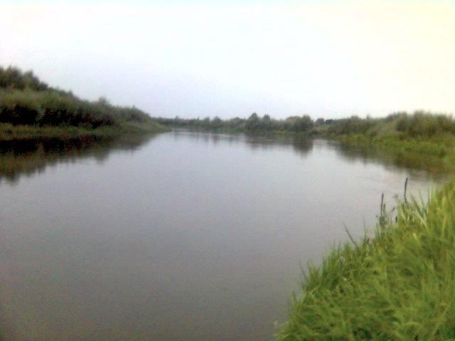 Адамчуки з panoramio.com - Адамчуки