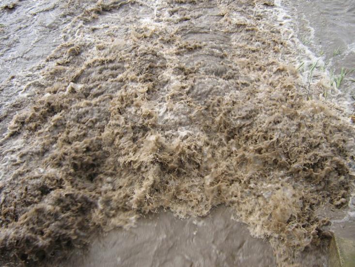 Грузьке з panoramio.com - Грузьке