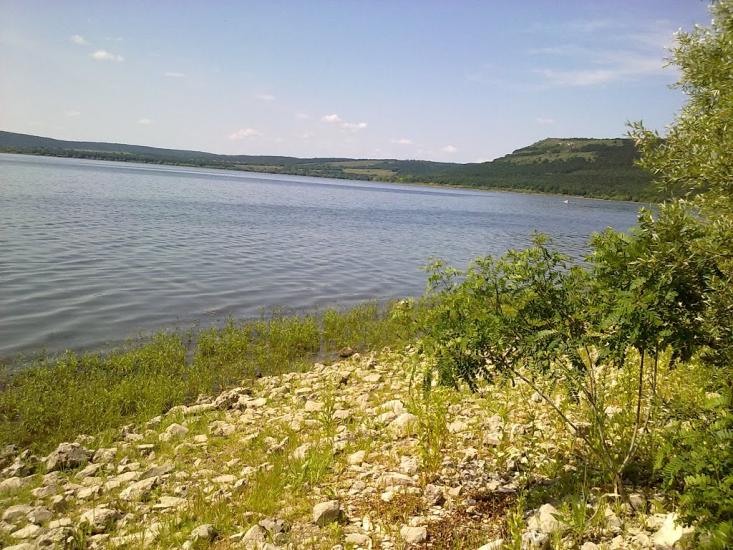 Каштанівка з panoramio.com - Каштановка
