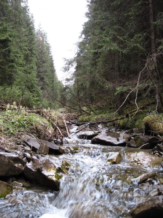Пробійнівка з panoramio.com - Пробойновка