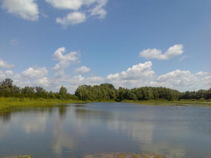Жукин з panoramio.com - Zhukyn