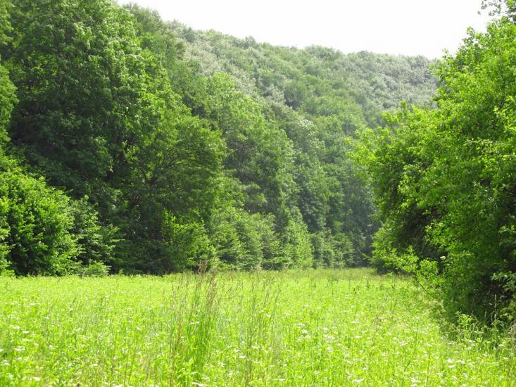Маркова з panoramio.com - Маркова