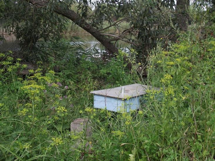 Розаліївка з panoramio.com - Розаліївка