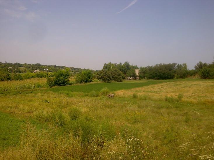 Лозувата з panoramio.com - Лозувата