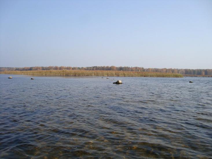Лошакова Гута з panoramio.com - Лошакова Гута