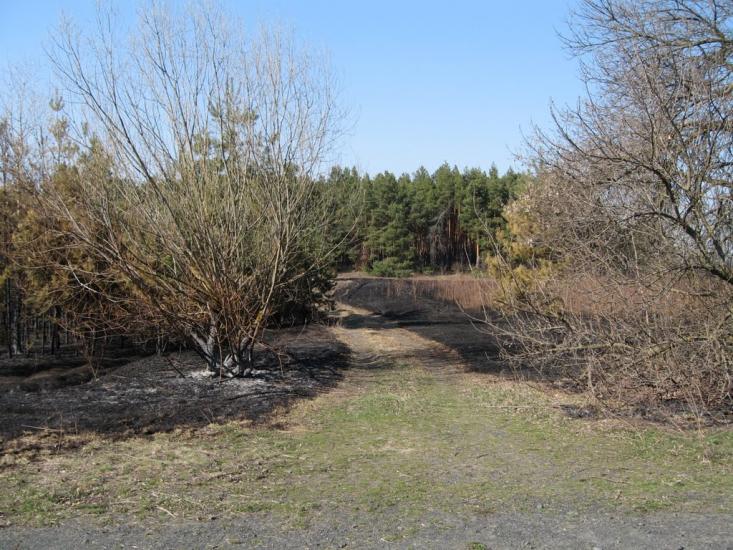 Плавні з panoramio.com - Плавни