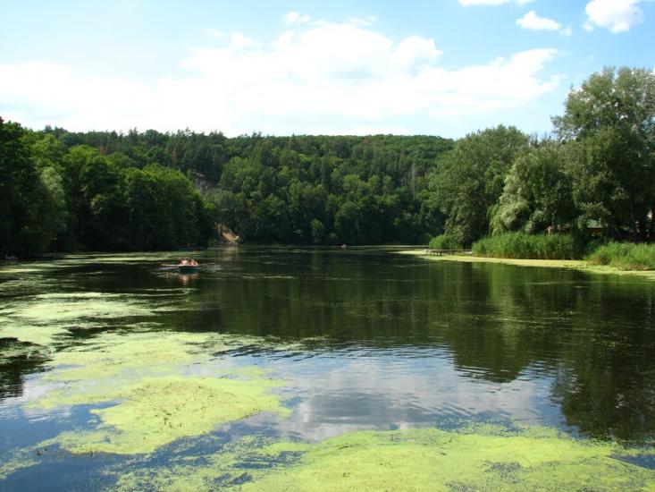 Коропове з panoramio.com - Koropove