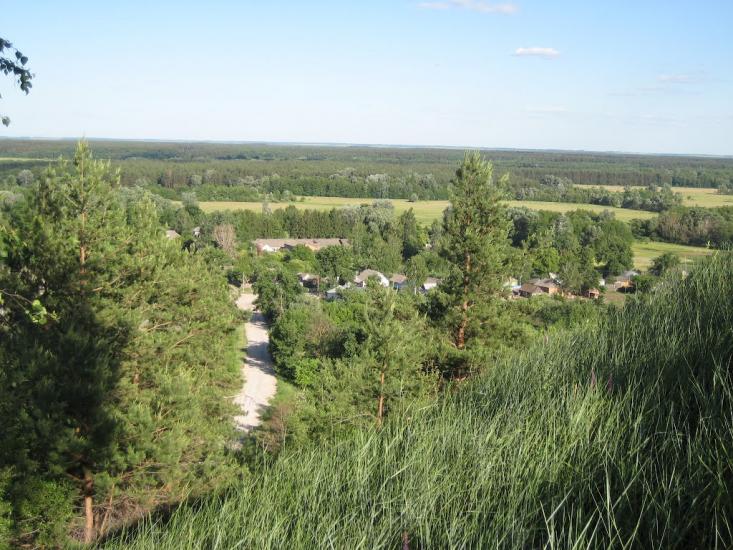 Курган з panoramio.com - Курган
