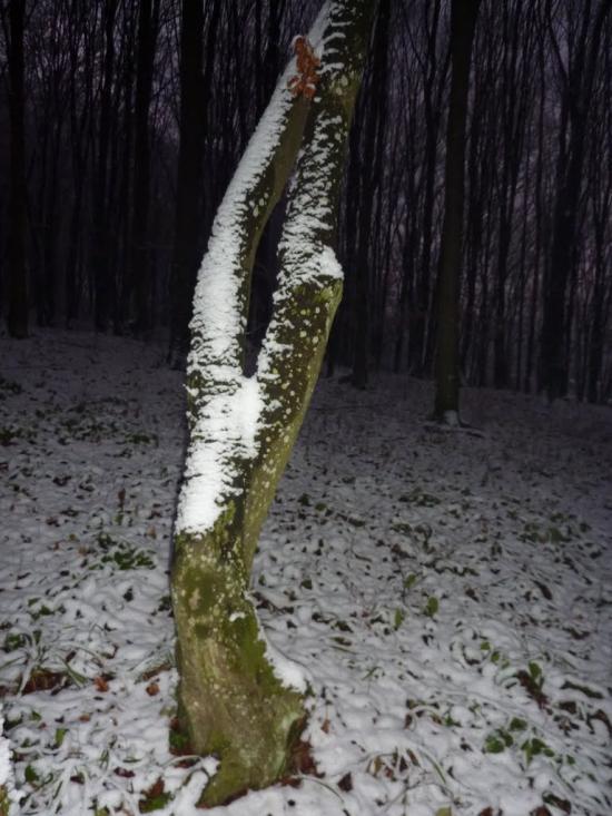 Нижнє Солотвино з panoramio.com - Нижнее Солотвино
