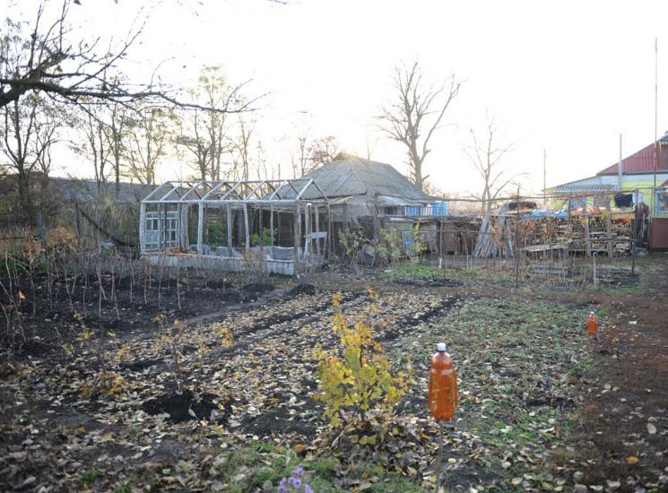 Нова Оржиця з panoramio.com - Нова Оржиця