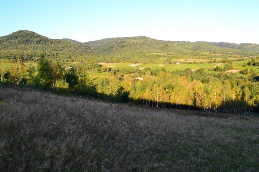 Люта з panoramio.com - Люта