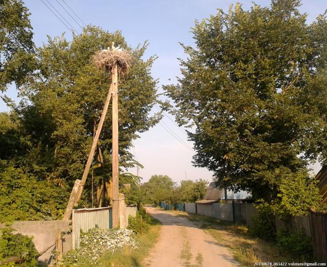 Бурківка з panoramio.com - Бурківка