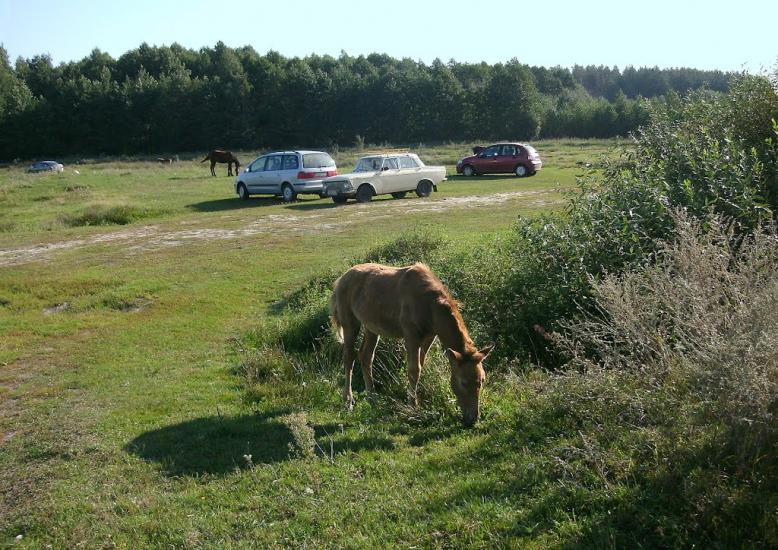 Марочкине з panoramio.com - Марочкино