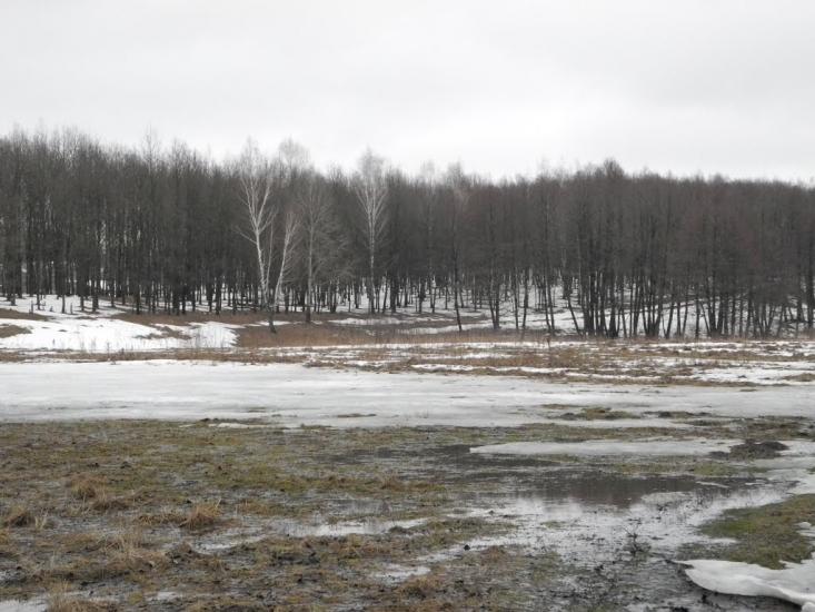 Кролевець з panoramio.com - Кролевец