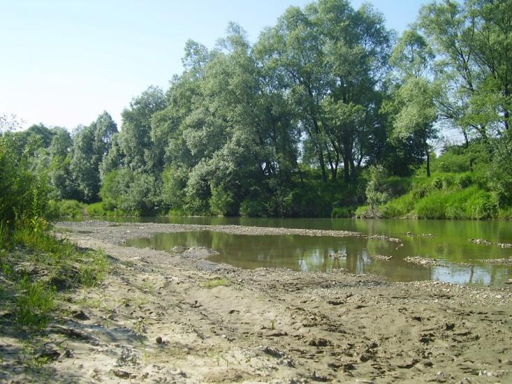 Сторожинець з panoramio.com - Сторожинец
