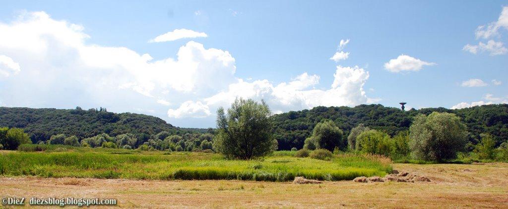 Задонецьке з panoramio.com - Zadonetske