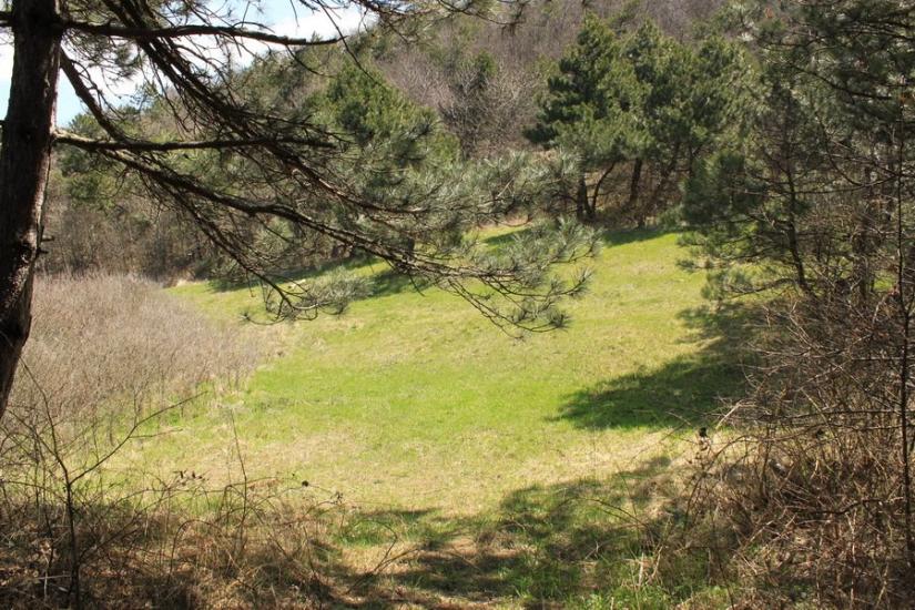 Громівка з panoramio.com - Громівка