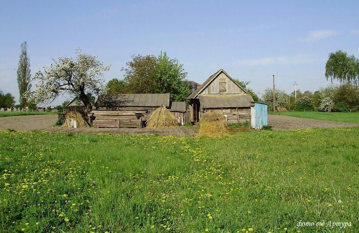 Звози з panoramio.com - Zvozy
