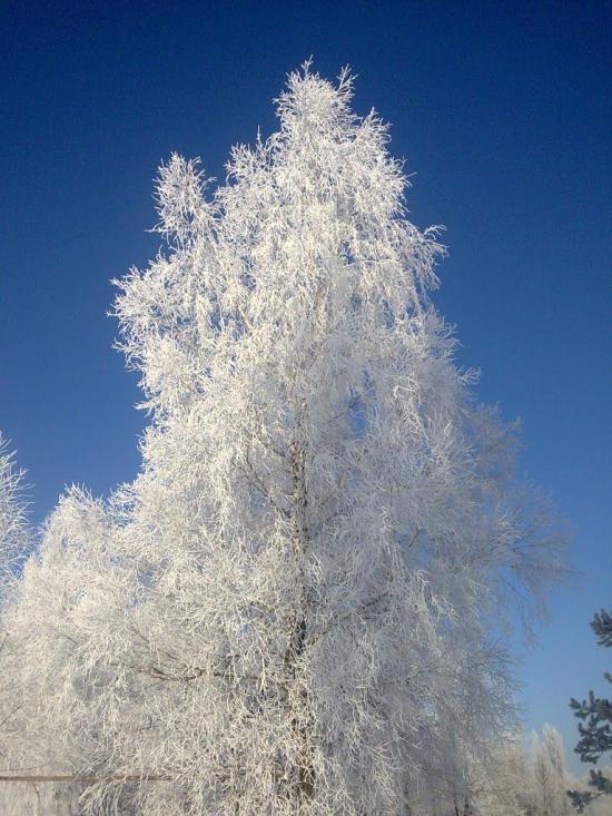 Кам'янка з panoramio.com - Камянка
