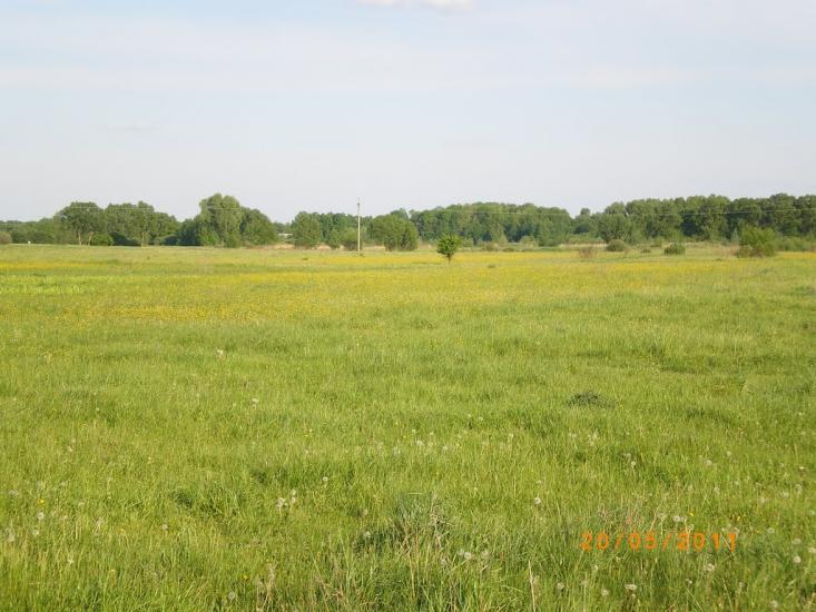 Червоні Партизани з panoramio.com - Володьковська Дівиця