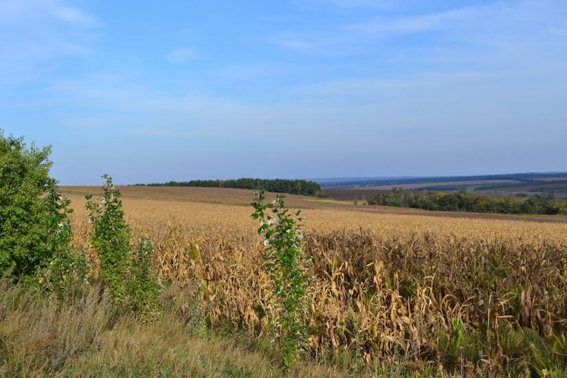 Сергіївка з panoramio.com - Сергіївка