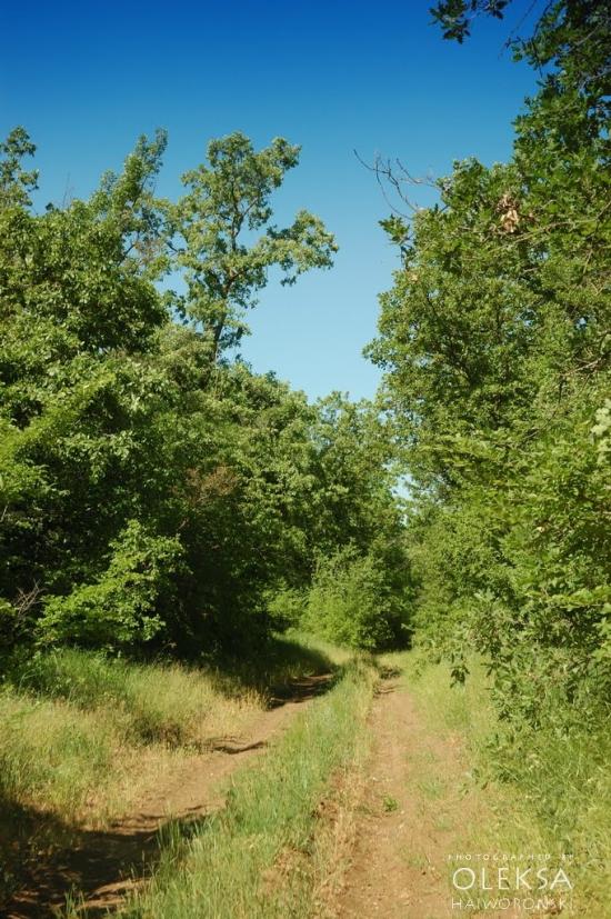 Долинне з panoramio.com - Долинне