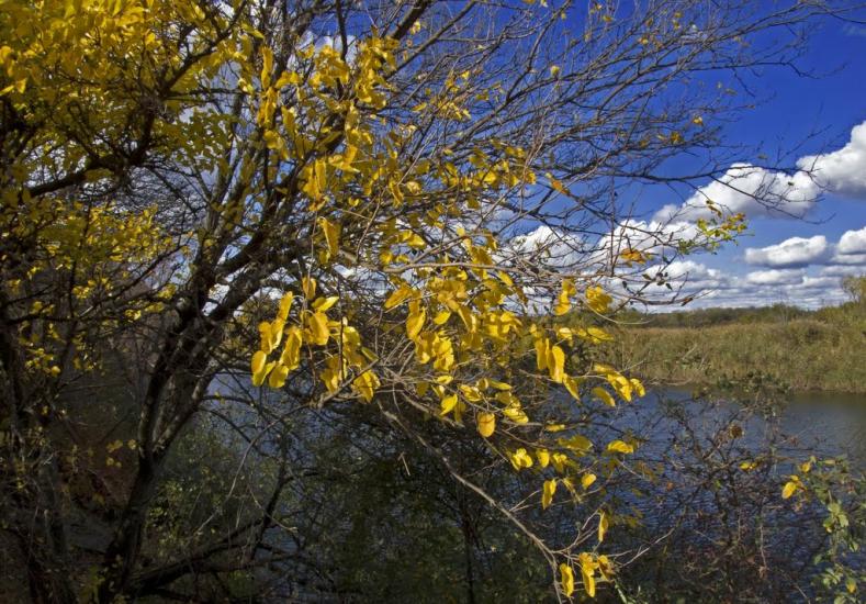 Тернуватка з panoramio.com - Терноватка