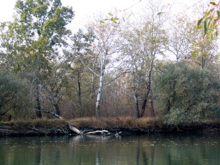 Яськи з panoramio.com - Jasky