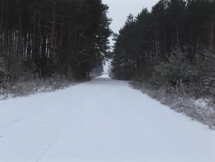 Масківці з panoramio.com - Масковцы
