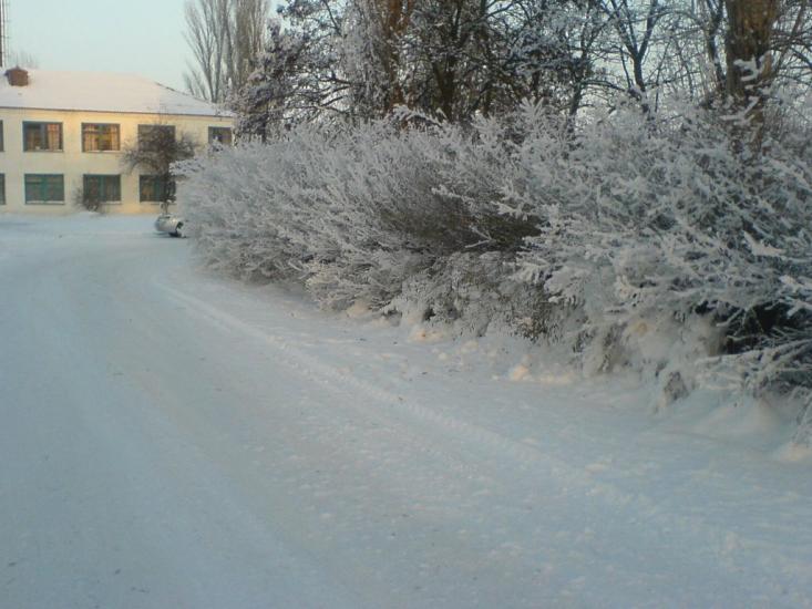 Чайкине з panoramio.com - Чайкине