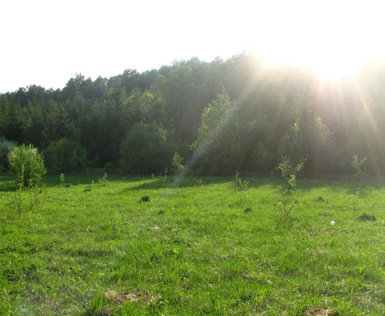 наш - Теслугів