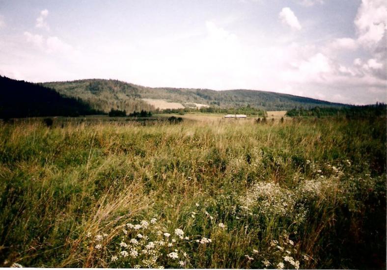 Біньова з panoramio.com - Binova