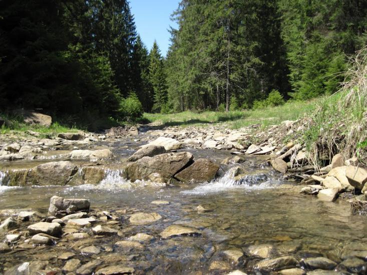 Лавочне з panoramio.com - Лавочное