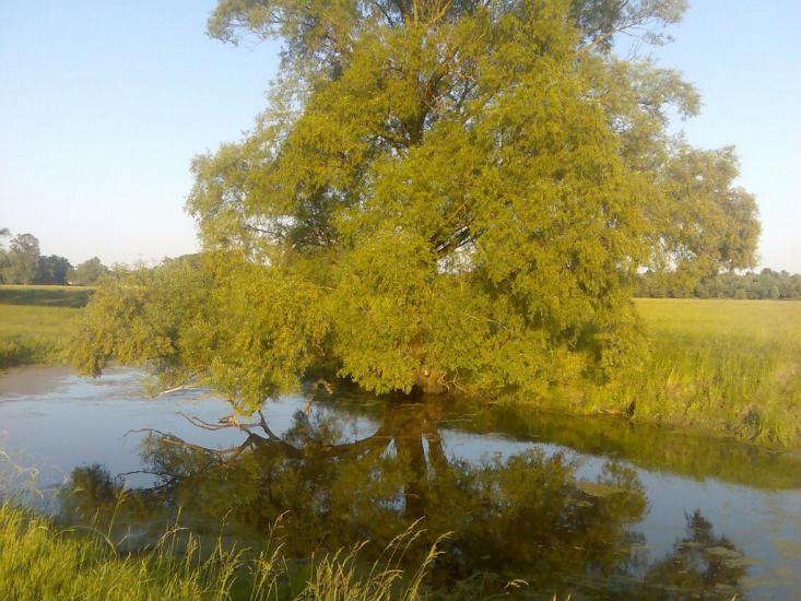Жукин з panoramio.com - Zhukyn