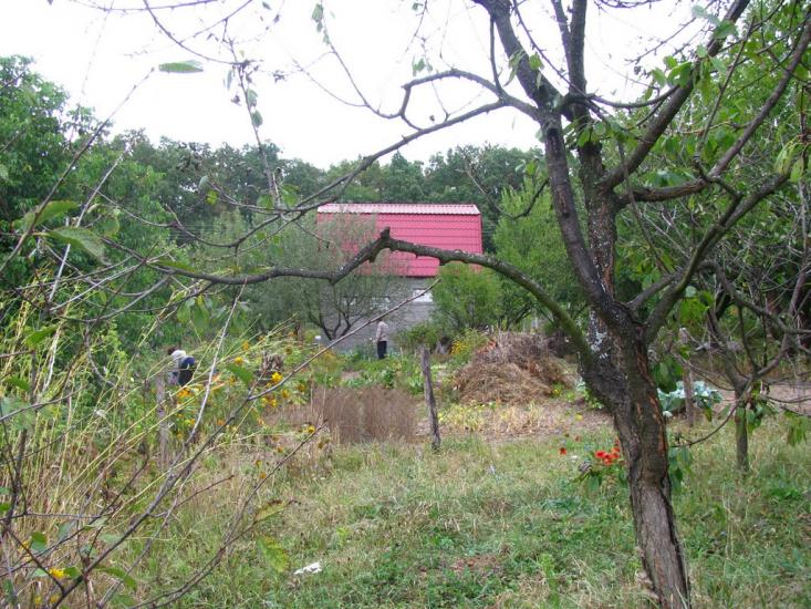 Циркуни з panoramio.com - Циркуны