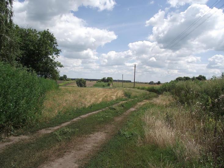 Розаліївка з panoramio.com - Розаліївка