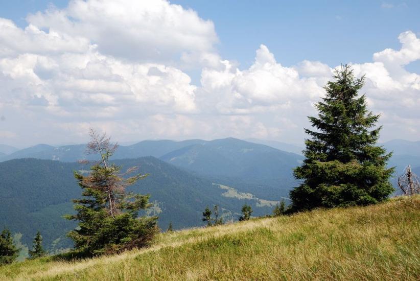 Заверхня Кичера з panoramio.com - Заверхняя Кичера
