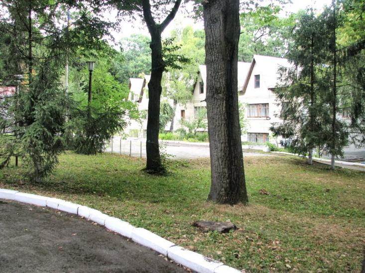 Головчинці з panoramio.com - Головчинцы