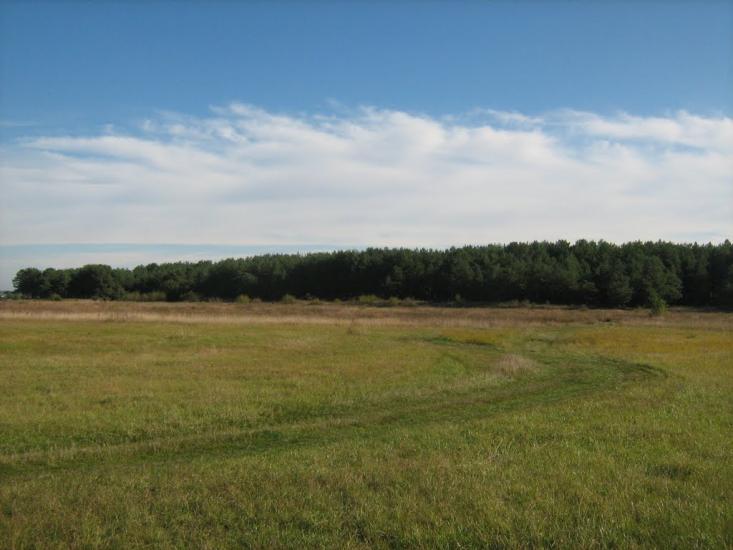 Білецьківка з panoramio.com - Белецковка