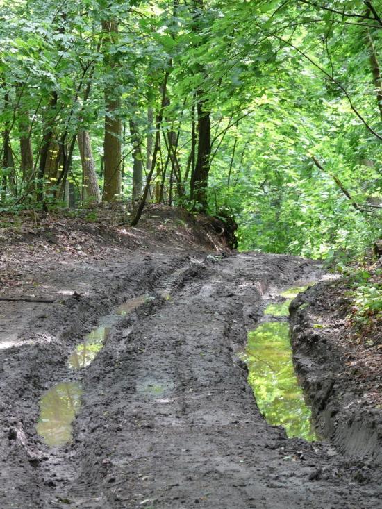 Коропове з panoramio.com - Коропово