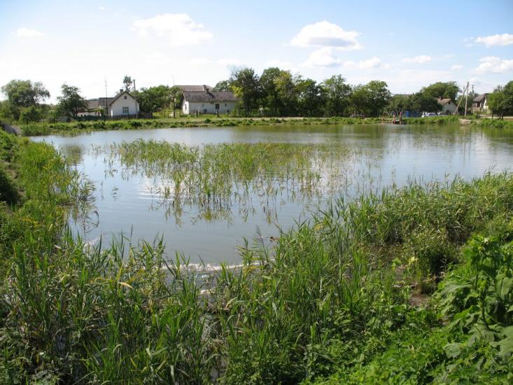 Шопки з panoramio.com - Шопки