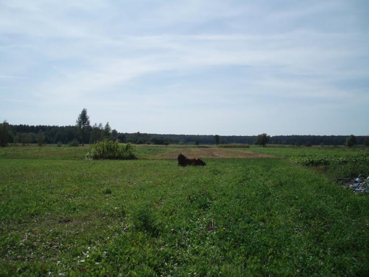 Бухарів з panoramio.com - Бухаров