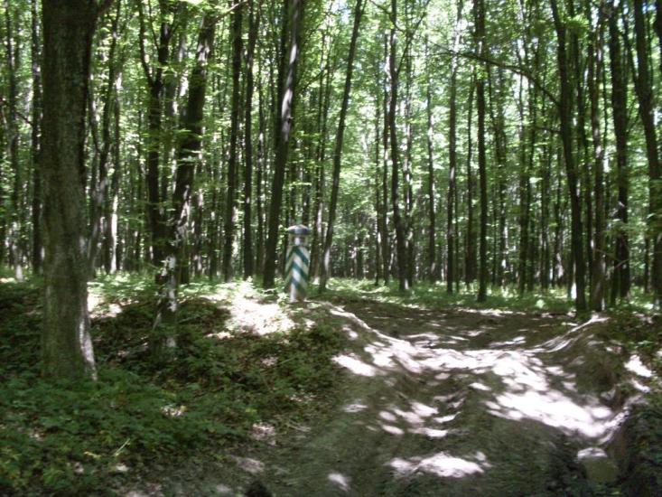 Шура-Бондурівська з panoramio.com - Шура-Бондурівська