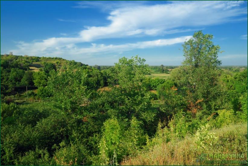 Глинське з panoramio.com - Глинське