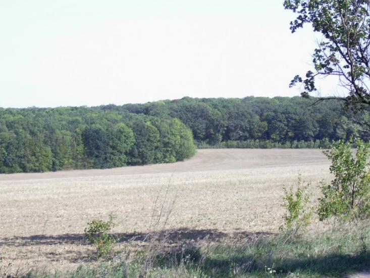 Романівка з panoramio.com - Романівка