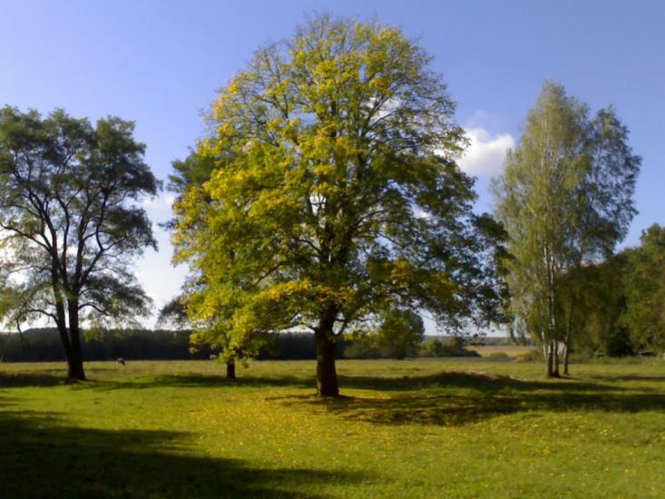 Стрижавка з panoramio.com - Стрижавка