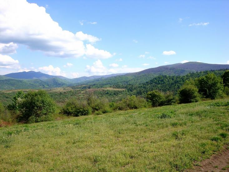 Люта з panoramio.com - Люта