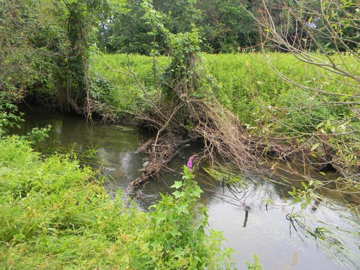 Хрипівка з panoramio.com - Хрипівка