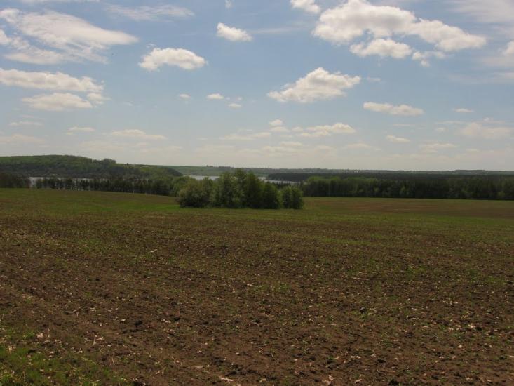Степашки з panoramio.com - Степашки